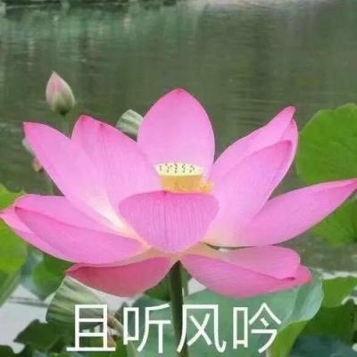 细胞进化论游戏下载